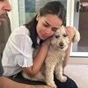 sophiamillet879